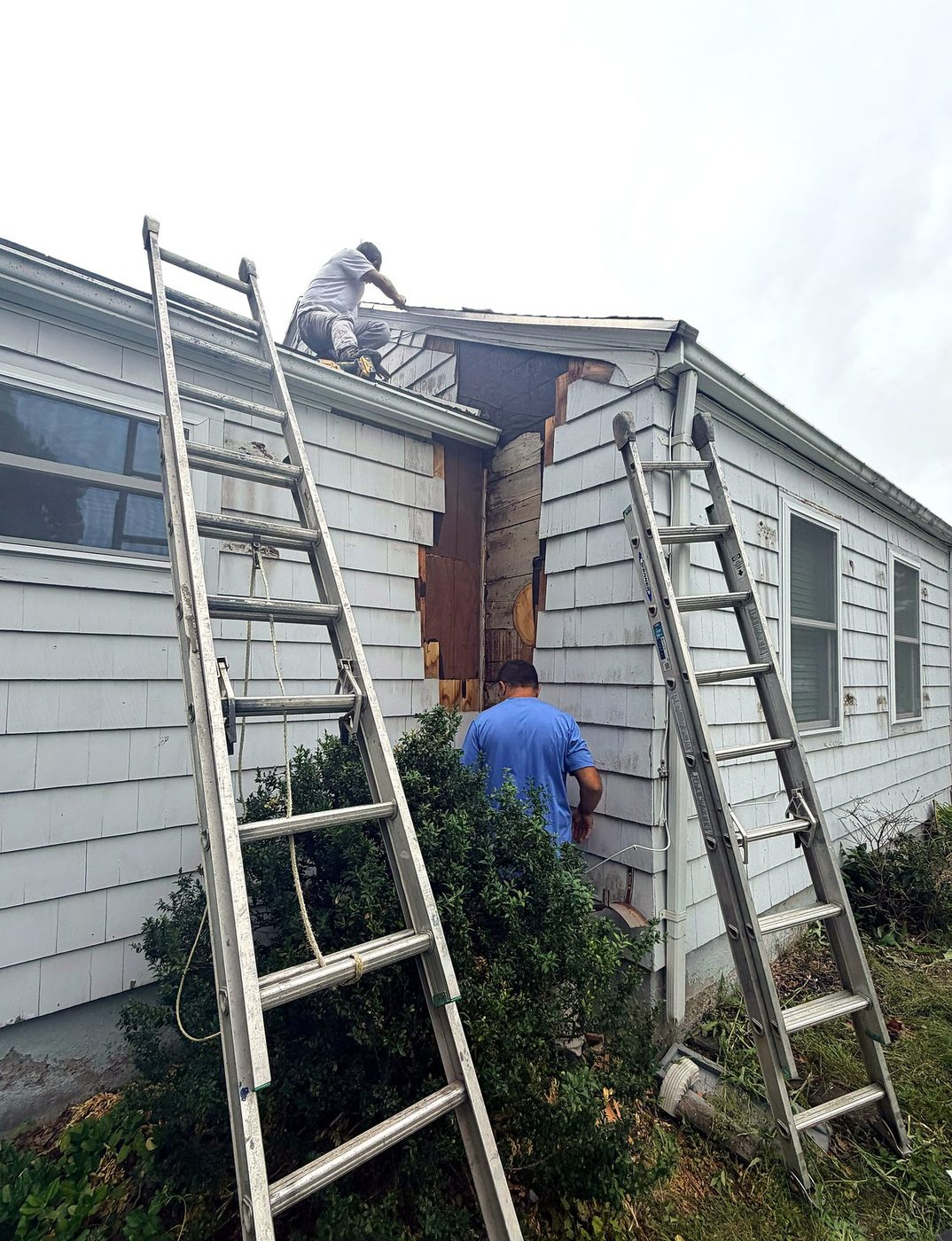 Ladders set at the opened corner of a Worcester, MA cape during siding and rot repair